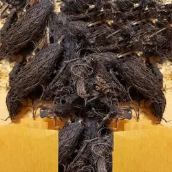 دمنوش سنبل الطیب دیمه - 250 گرم