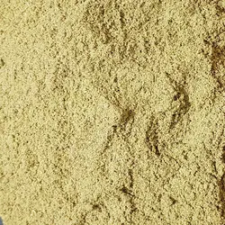 پودر گلپر مارجان- 75 گرم