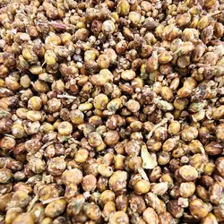 سماق قهوه ای ناساب دیمه- 250 گرم