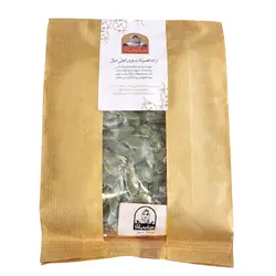 لوبیا سبز فریز شده مارجان 500 گرم