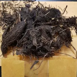 دمنوش سنبل الطیب حامی - 35 گرم