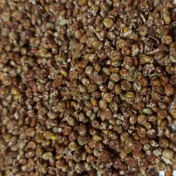 سماق قهوه ای ناساب حامی - 500 گرم