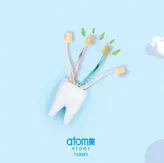 مسواک های آنتی باکتریال atomy ( ساخت کره جنوبی)