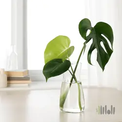 تنگ و گلدان ایکیا KARAFF | فروشگاه لوازم خانه و آشپزخانه راه‌راه مارکت