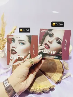 پالت سایه برند مات کوچیک آنالیدی ANYLADY کد 8658W - فروشگاه عمده لوازم آرایشی ورانی