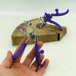 فرمژە پروانە ای