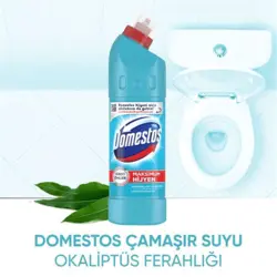 جرم گیر دامستوس با رایحه اکالیپتوس حجم 750 میلی - فروشگاه جان به به