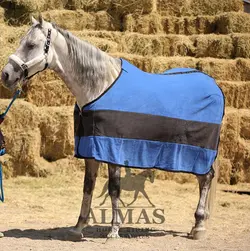 جول پولار اشترن