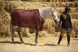 جول تابستانه توری اشترن