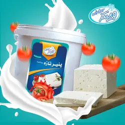 پنیر صبحانه سفید 10 کیلوگرمی