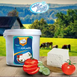 پنیر صبحانه سفید 10 کیلوگرمی