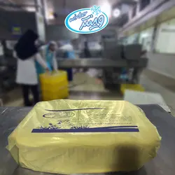 خامه حیوانی 65%