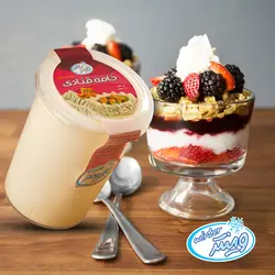 خامه قنادی حیوانی 500 گرمی