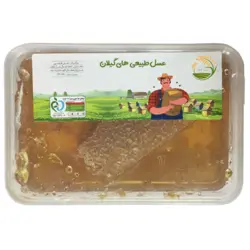 عسل طبیعی گیلان 3 کیلوگرم - های گیلان