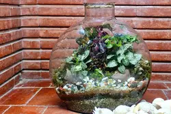 تراریوم آنتالیا