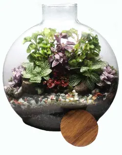 تراریوم آنتالیا