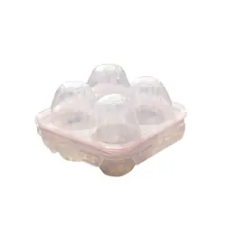 ظرف تخم مرغ 4 تایی