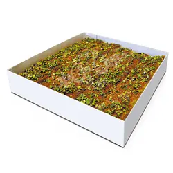 کیک شامی (کیک باقلوا) 850 گرمی شیرینی سنتی