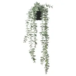 بوته آویز اکالیپتوس ایکیا مدل FEJKA