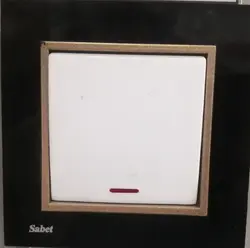 کلید و پریز پارمیس سفید کریستال مشکی زه طلایی