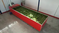 سبزی خشک کن استخری صنعتی