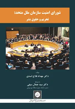 شورای امنیت سازمان ملل متحد: تحریم و حقوق بشر
