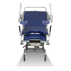تخت زایمان طبیعی مدل Castia DT3101POOE - فروشگاه حمدآریا