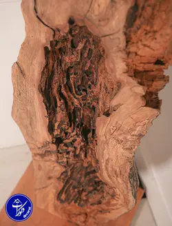 چراغ خواب روستیک