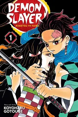 مانگا Demon Slayer مانگای دیو کش کیمتسو نو یائیبا به زبان انگلیسی 23 جلدی