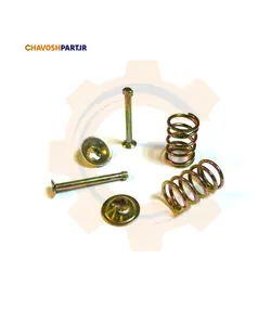 میخ و پولک لنت ترمز عقب پژو۴۰۵ خورشیدموتور