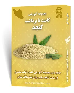 دانلود مجموعه جامع آموزش زراعت کنجد | مزرعه نو