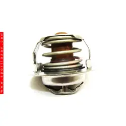 ترموستات 75 پژو 405