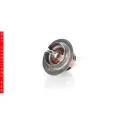 ترموستات 83 پژو 405