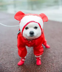 بارانی سگ ، لباس ضد آب ، برای حیوانات خانگی با کلاه شفاف و پوشش کامل بدن برند: SIWODIOG کد : PS 529
