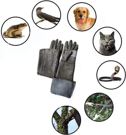 دستکش چرمی ضد گاز گرفتن حیوانات خانگی برند: zaizai کد : B 140