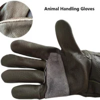 دستکش چرمی ضد گاز گرفتن حیوانات خانگی برند: zaizai کد : B 140