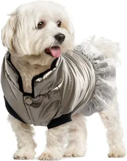 کاپیشن سگ دخترانه ( کت ضد آب ضد باد سگ دخترانه ) برند LeLePet کد : PS 550