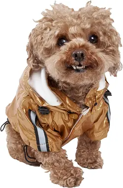 کاپیشن بارانی اسپرت سگ برند: Petlife کد : PS 536