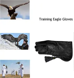 دستکش چرمی آموزشی عقاب و پرندگان شکاری برند : QJJML کد : B 110