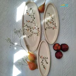 دیس سرو سرامیکی برای غذای سرد و گرم (۳ تایی)