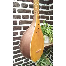 سه تار گردو نوروز صبا