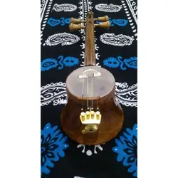 کمانچه پشت باز شیپوری (گلدانی) فاتحی