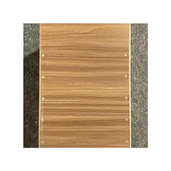 خرید کاخن دی اس DS کوک ثابت - برترین ساز