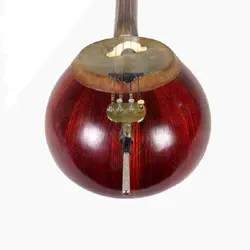 خرید کمانچه جودکی - برترین ساز