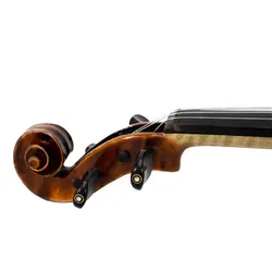 خرید ویولن تی اف TF مدل 00800 - برترین ساز