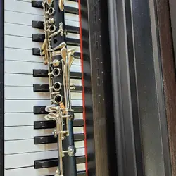 خرید ویولن چوب آبنوس فر طبیعی مگینی - برترین ساز