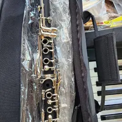 خرید ویولن چوب آبنوس فر طبیعی مگینی - برترین ساز