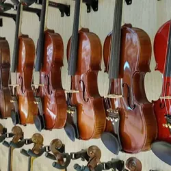 خرید ویولن باخ Bach دوچهارم (یک دوم) - برترین ساز