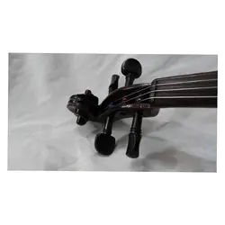خرید ویولن آکوستیک هوران HOORAN کلاس C - برترین ساز
