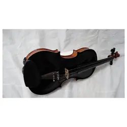 خرید ویولن آکوستیک هوران HOORAN کلاس C - برترین ساز